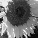 beyondastorybook avatar