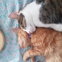 beyondcynical avatar