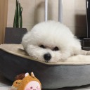 beyonddescribable avatar