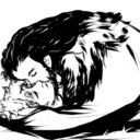 beyonderebor-blog avatar