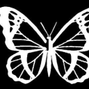 beyondinfinity24 avatar