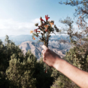 beyondmeaboveyou avatar