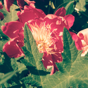 beyondromanticstuff-blog avatar