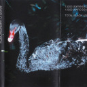 beyondthebluebell avatar