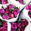 beyondtheconstellation avatar