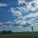 beyondthedaisyflower avatar