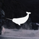 beyondtheforests avatar