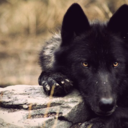 beyondthesphereofthemoon avatar