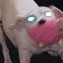 beyondunnatural avatar