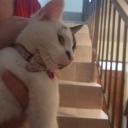 beyour0wnanchor avatar