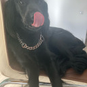 beyourselfdarling avatar