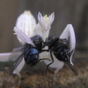 bhldthemachine avatar