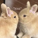 bi-lesobsession avatar