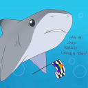 bi-sexual-dis-a-ster avatar