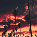 biancalana0110 avatar