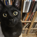 biancanekoyokai avatar