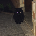 biancaschuinski avatar