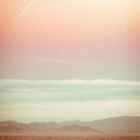 biancashayndel avatar