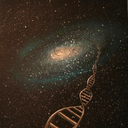 biancatheginger avatar