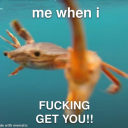 bibliophage413 avatar