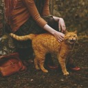 bibliophile-meow avatar