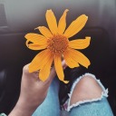 bibliophile-xoxo avatar