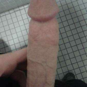 bibreedingrod avatar