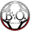 bicion avatar