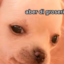 bicuriousgazelle avatar