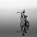 bicycledream-blog avatar