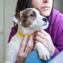 bideaweeandbeyond-blog-blog avatar