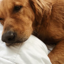 bienvenidoamimente avatar