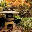 bifriendlyfun avatar