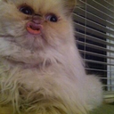 big-baby-burton avatar