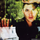 big-bad-direwolf avatar