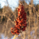 big-beautifulworld avatar