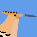 big-bird-nerd avatar