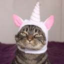 big-boobs-girl avatar