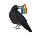 big-butch-energy avatar