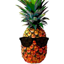 big-island-pineapple avatar