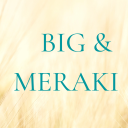 big-meraki avatar