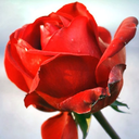 bigandwild-blog avatar