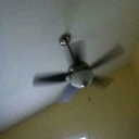 bigbeardoodler avatar