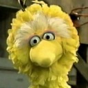 bigbirdthebigbird avatar