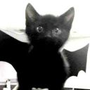 bigblackboots-eyeslikeacat avatar