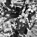 bigbluebeautifulthings avatar