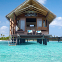 bigbluesummer avatar