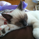 bigbootybitchess-blog-blog avatar