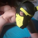 bigbro-needed avatar