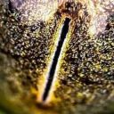 bigbuddahcheesy avatar